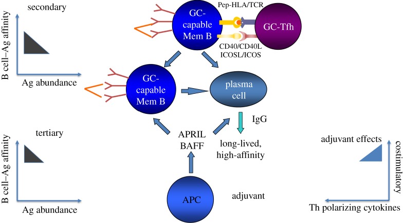 Figure 2.