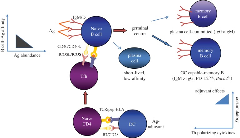 Figure 1.