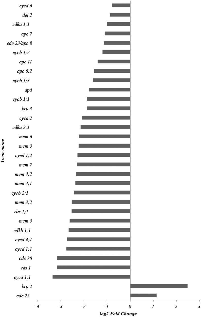 Figure 2.