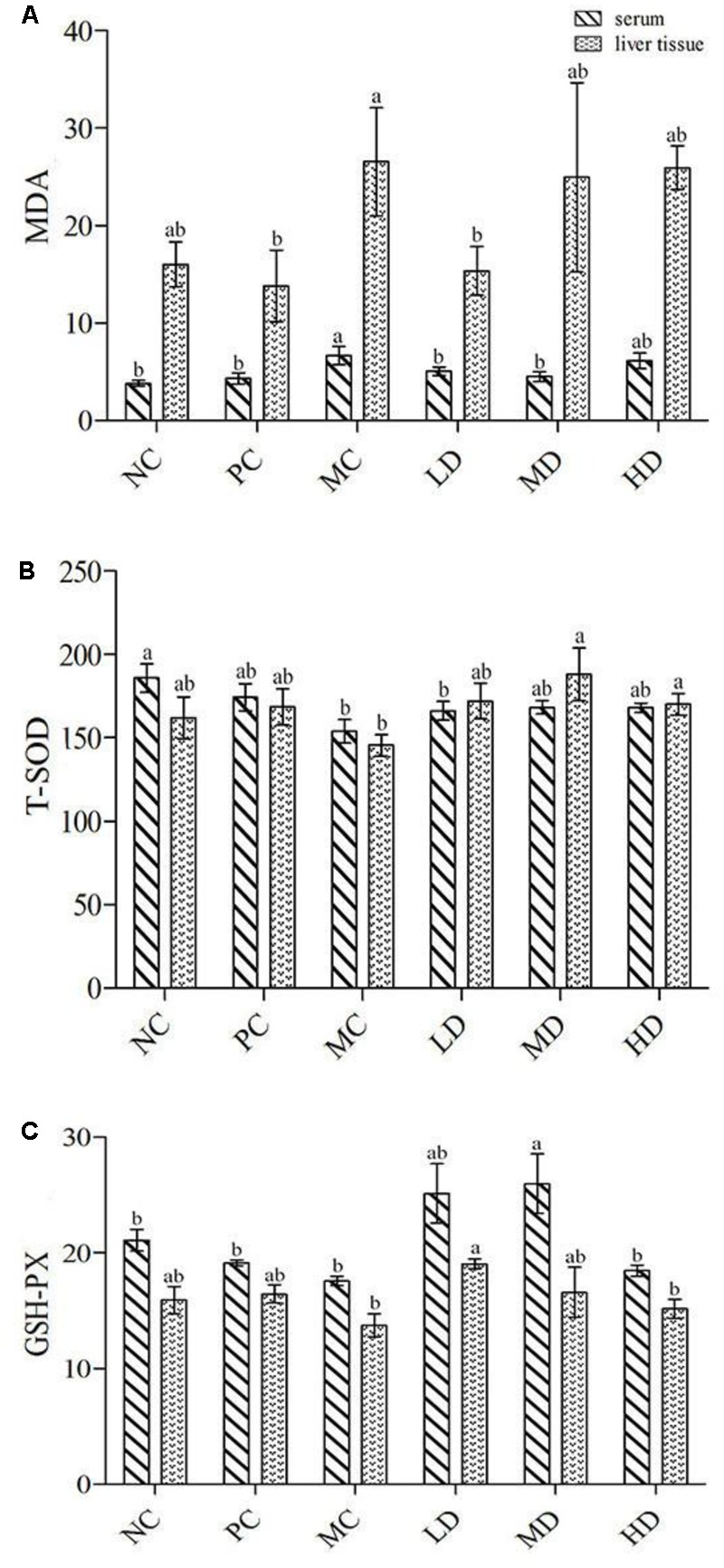 FIGURE 3