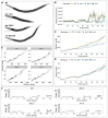 Figure 1.
<b>Quantitative assessment of larval growth</b>