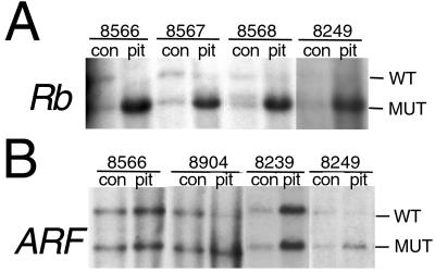 Fig 4.