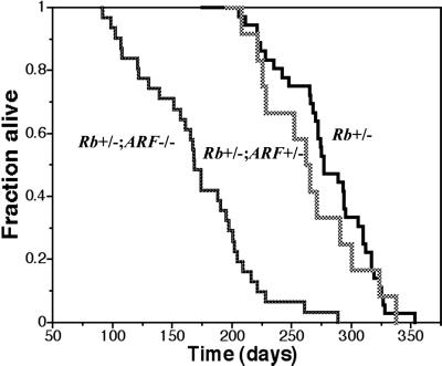 Fig 1.