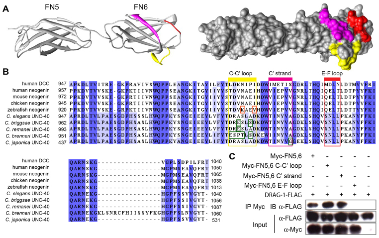 Fig. 4.