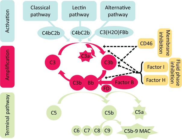 Fig 1.