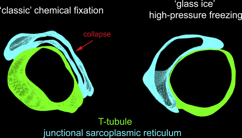 Unlabelled Image