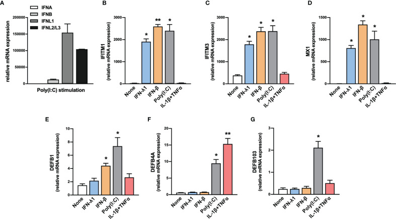 Figure 2