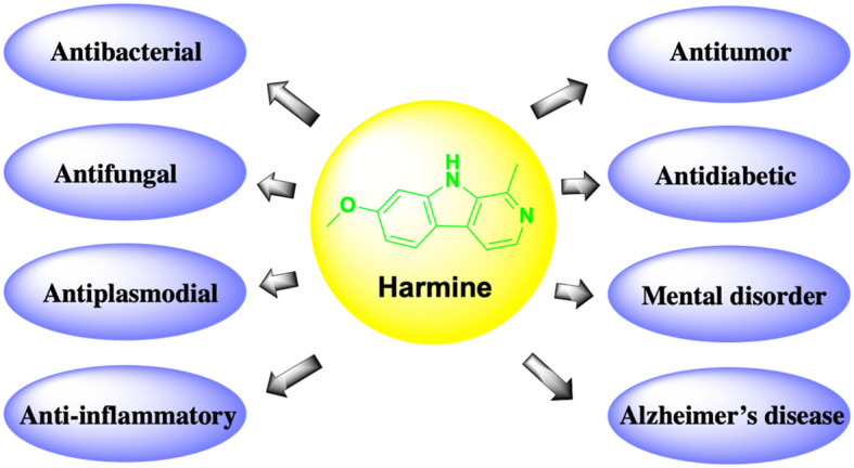 Figure 1