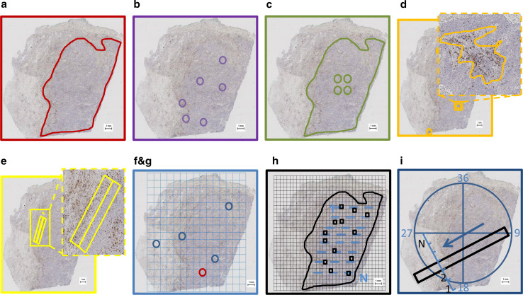 Fig. 1