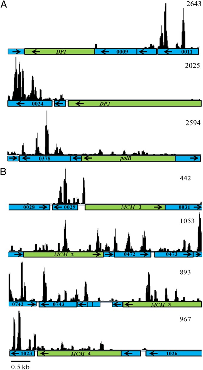 Fig. 3.