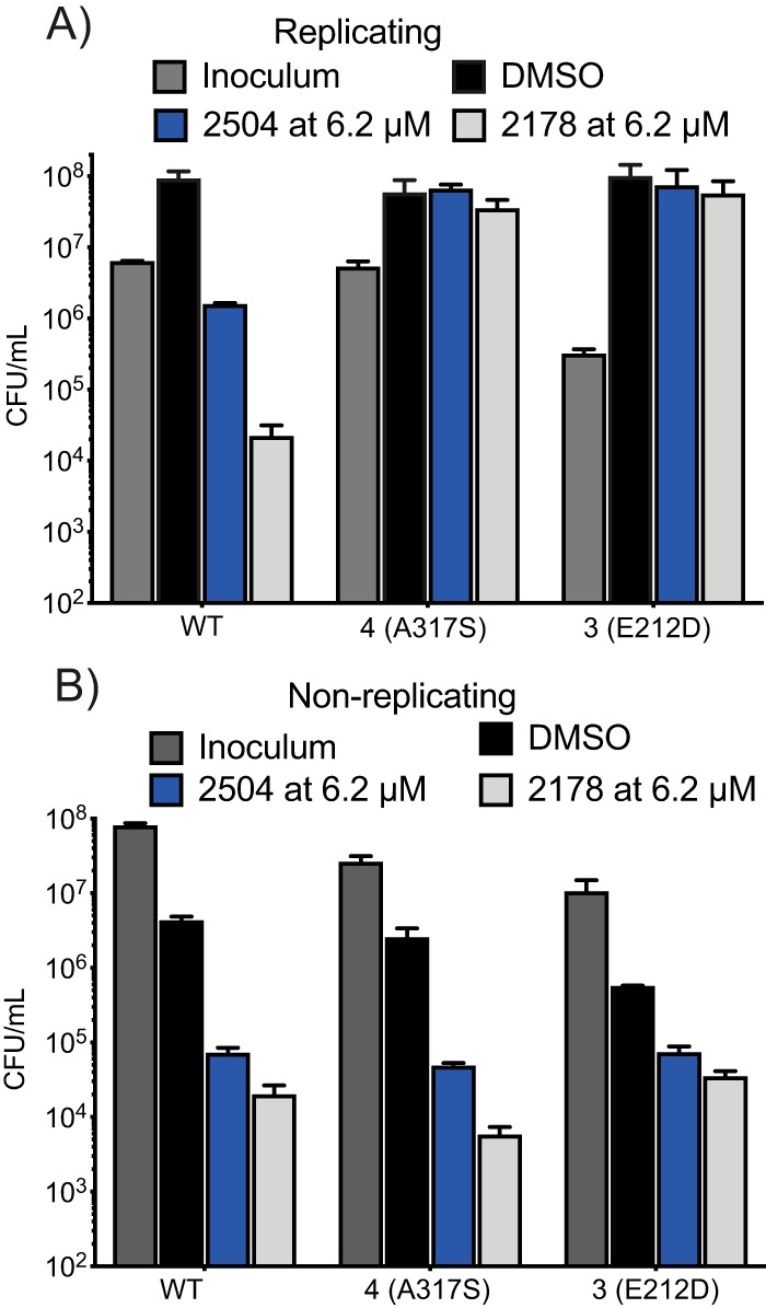 FIG 2