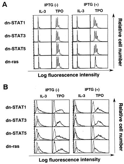 FIG. 7