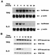 FIG. 9