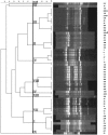 FIG. 5.
