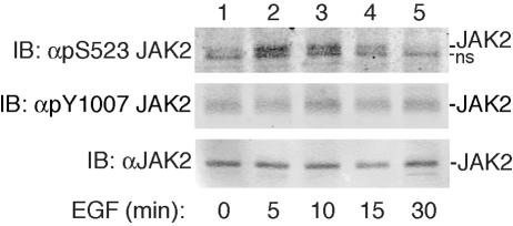 FIG. 5.