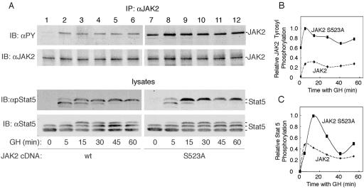 FIG. 7.