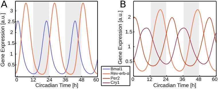 Fig 4