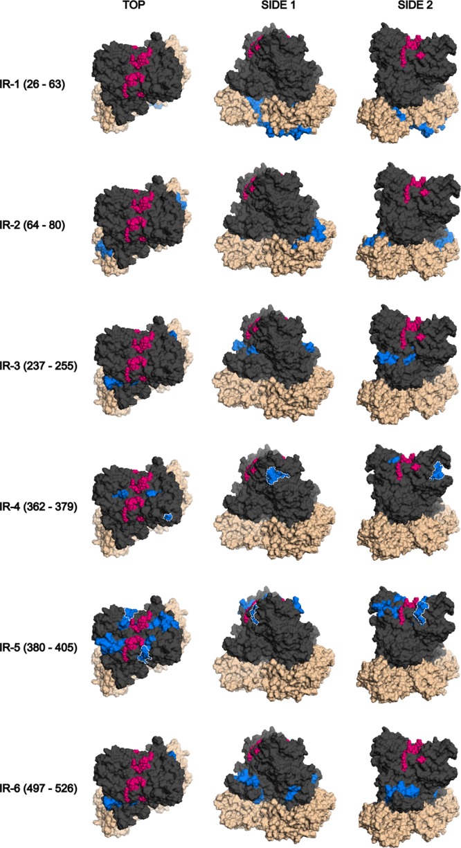 FIG 6