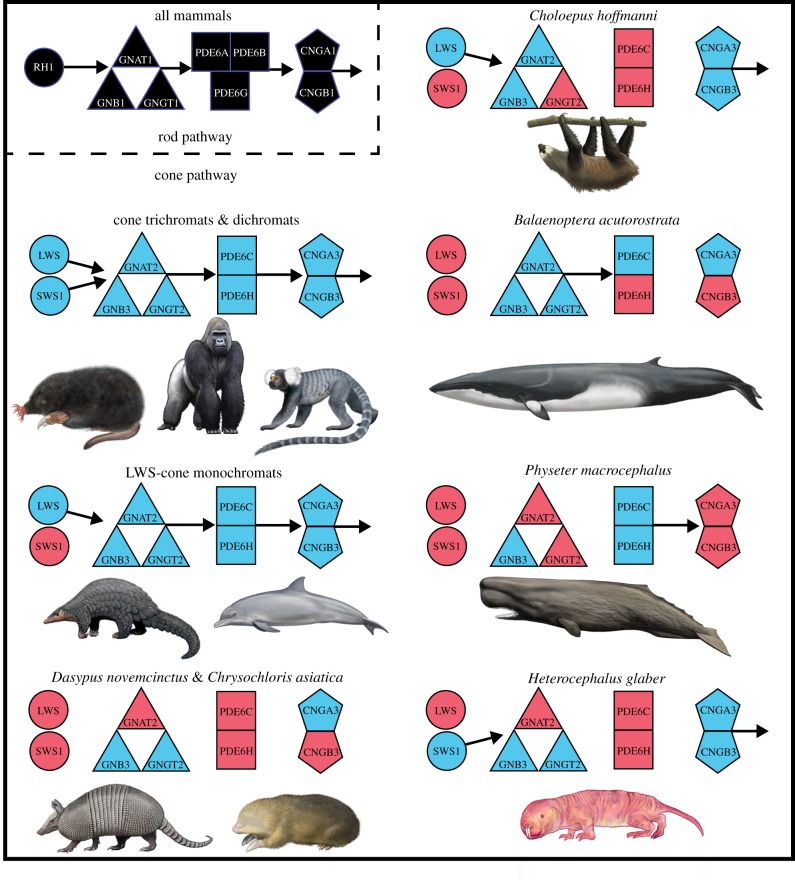 Figure 2.