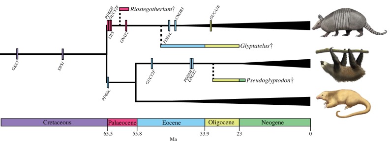 Figure 3.