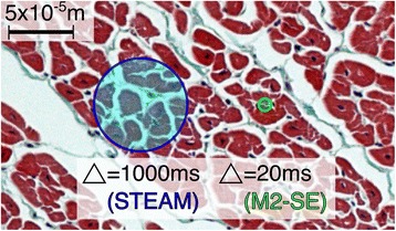 Fig. 11