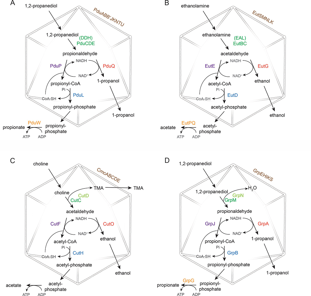 Figure 2: