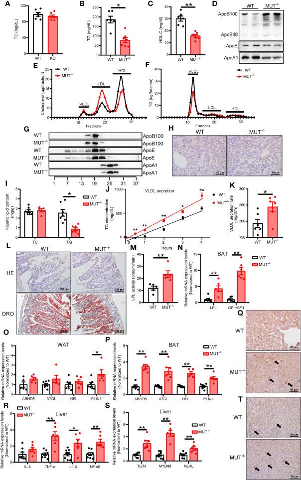 Figure 5