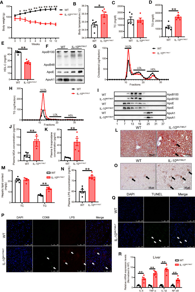 Figure 6