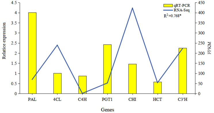 Fig. 7