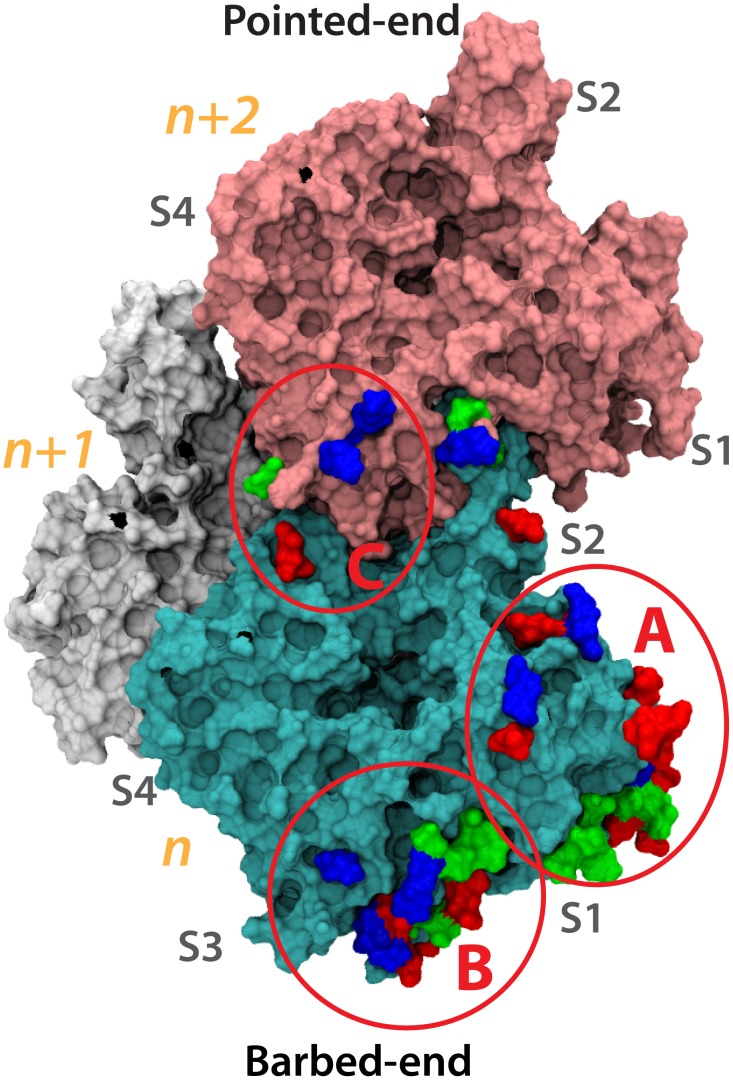 Figure 10