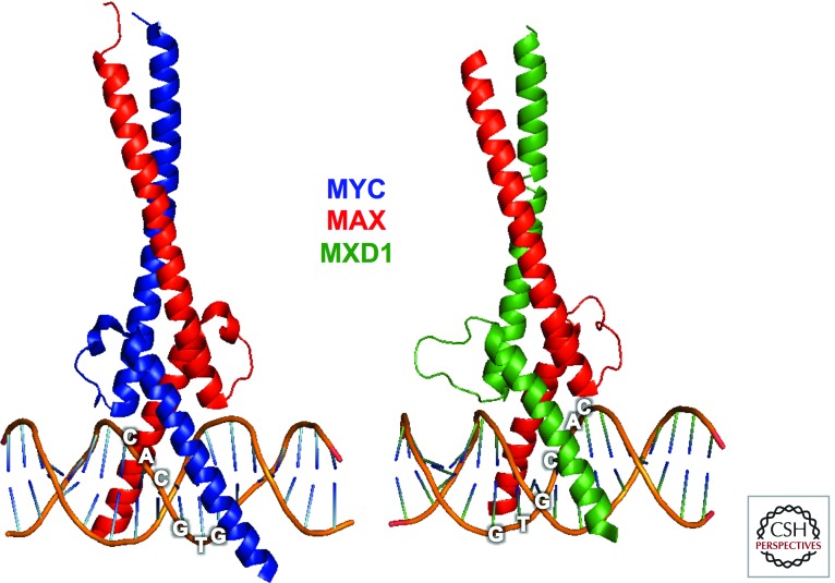 Figure 4.