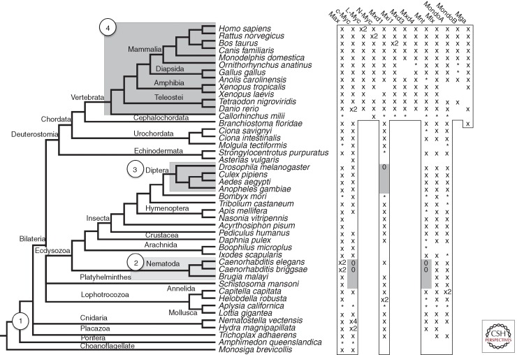 Figure 6.