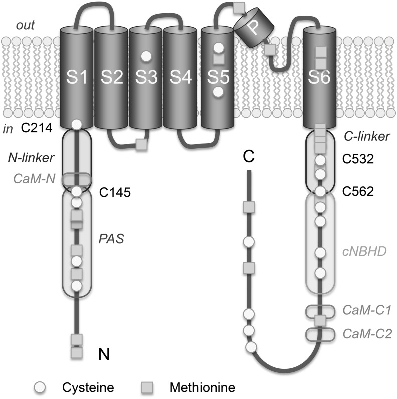 FIG. 6.