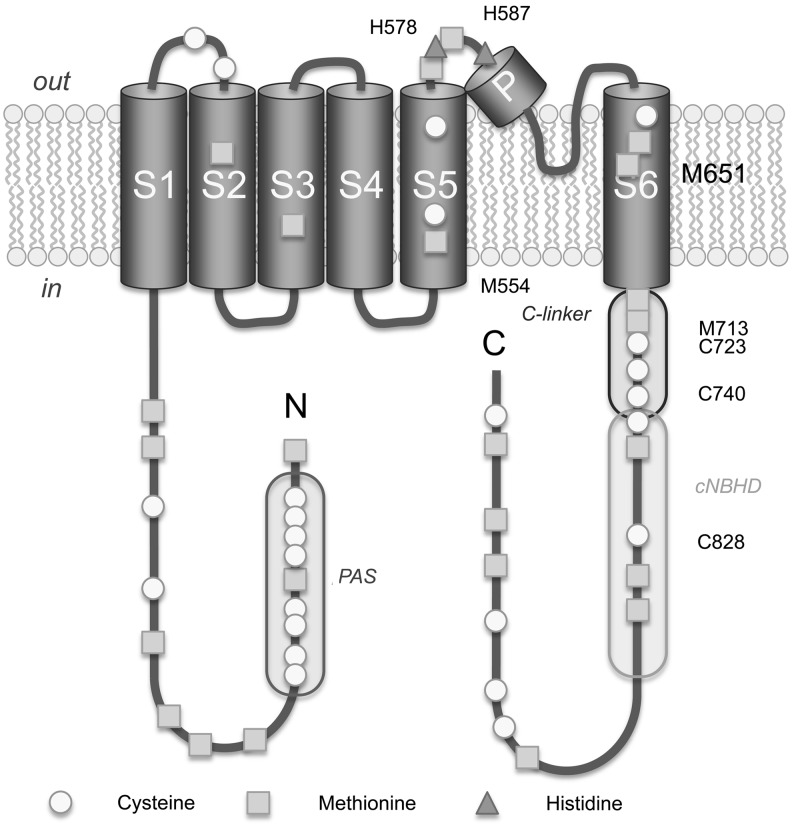 FIG. 8.