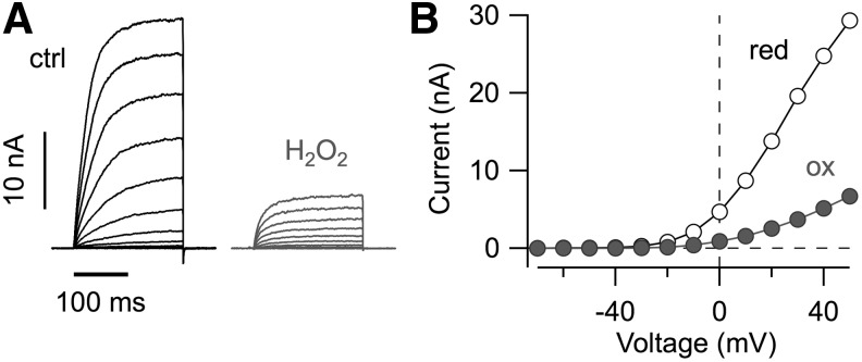 FIG. 7.