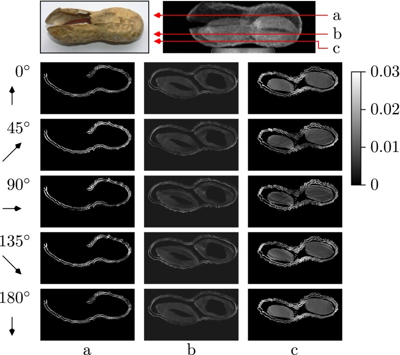 Fig. 9.