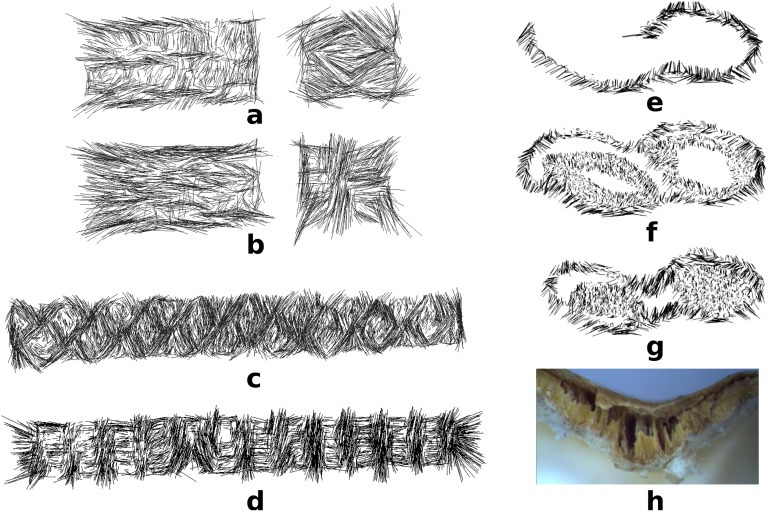 Fig. 7.