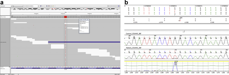 Figure 2