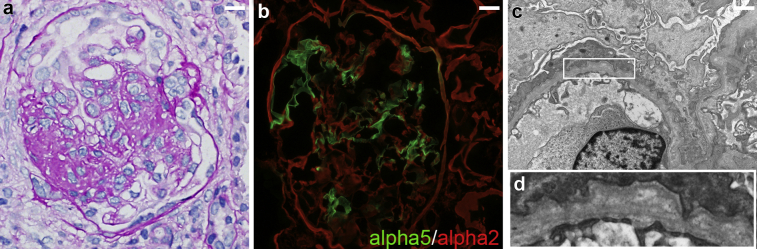 Figure 1