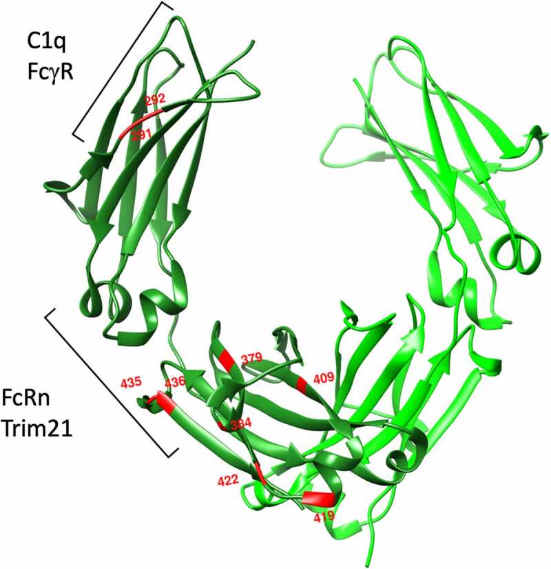 Figure 2.