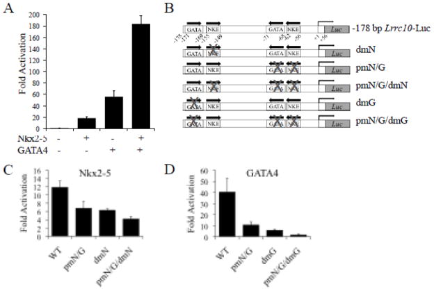 Figure 4