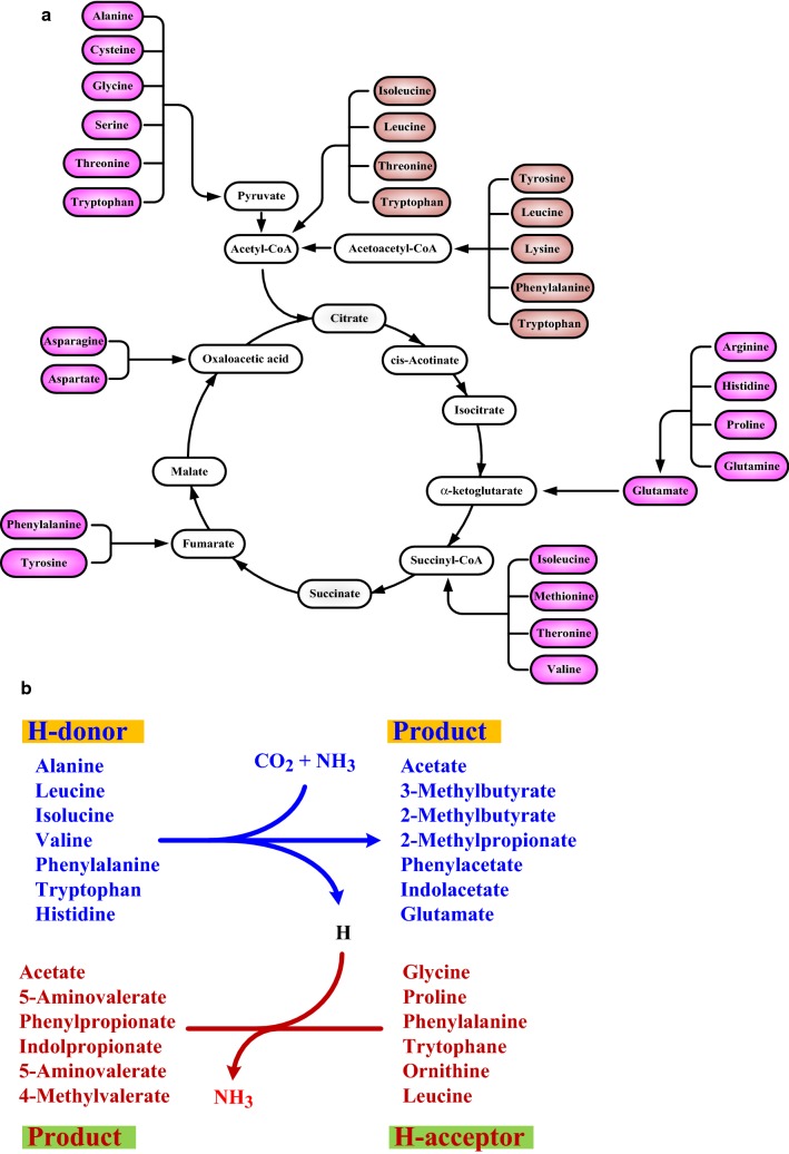 Fig. 4