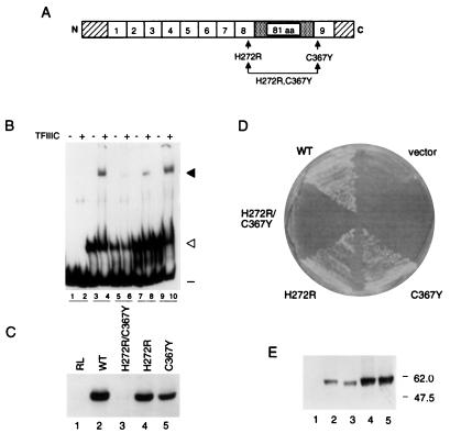 FIG. 5