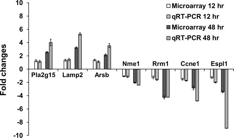 Fig 9