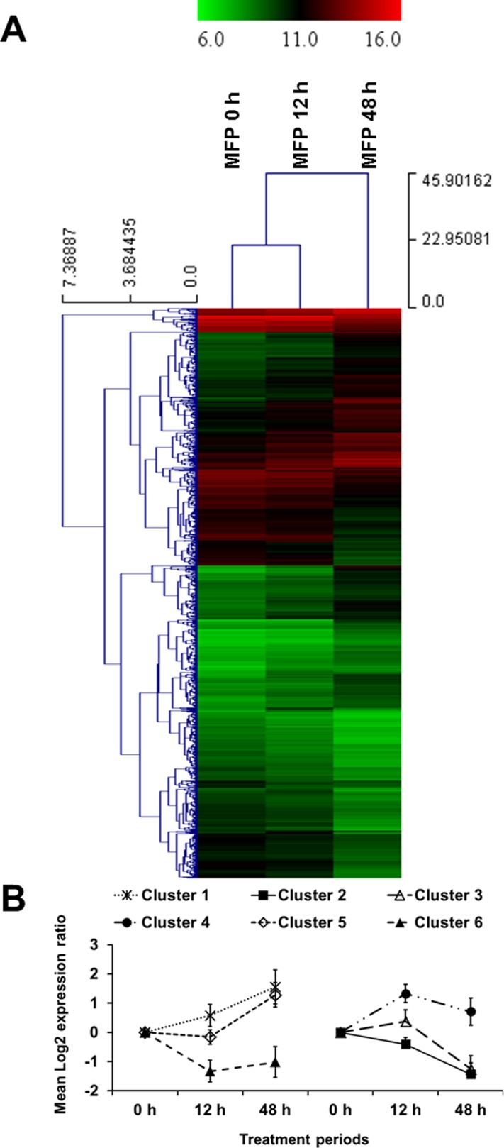 Fig 6