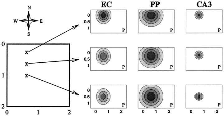 Fig. 9.