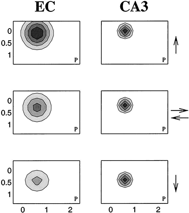 Fig. 10.