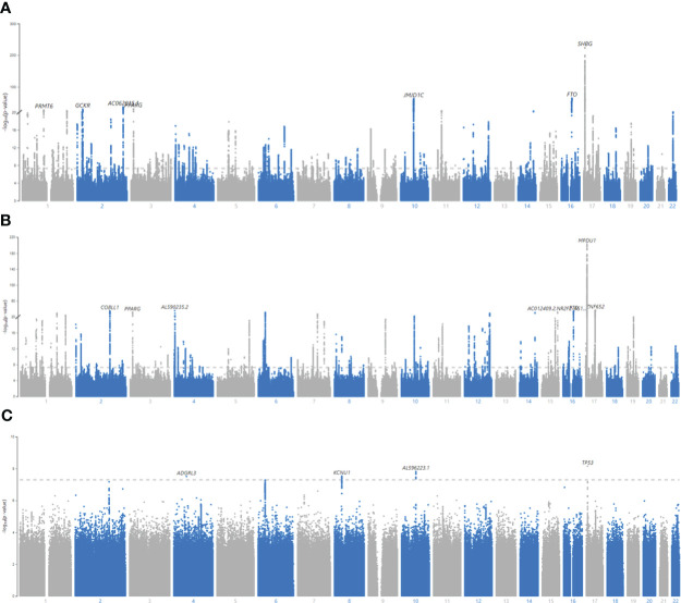 Figure 3