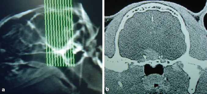 Fig 6.