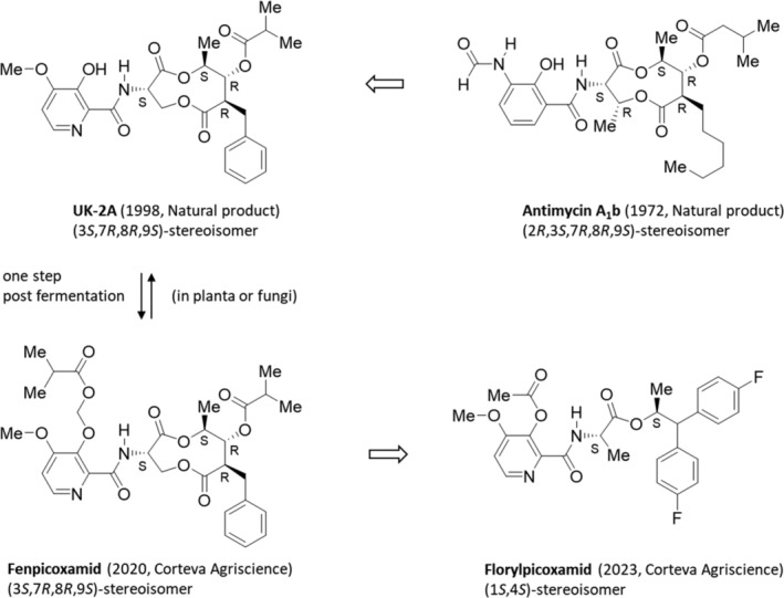 Figure 7